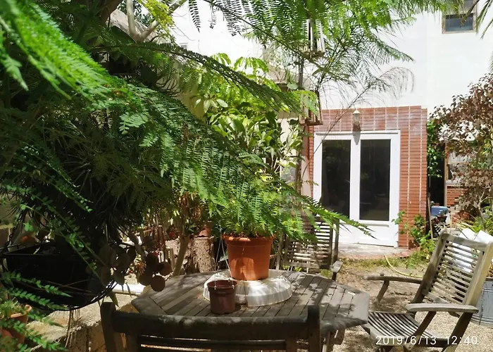 דירה Benavides 5